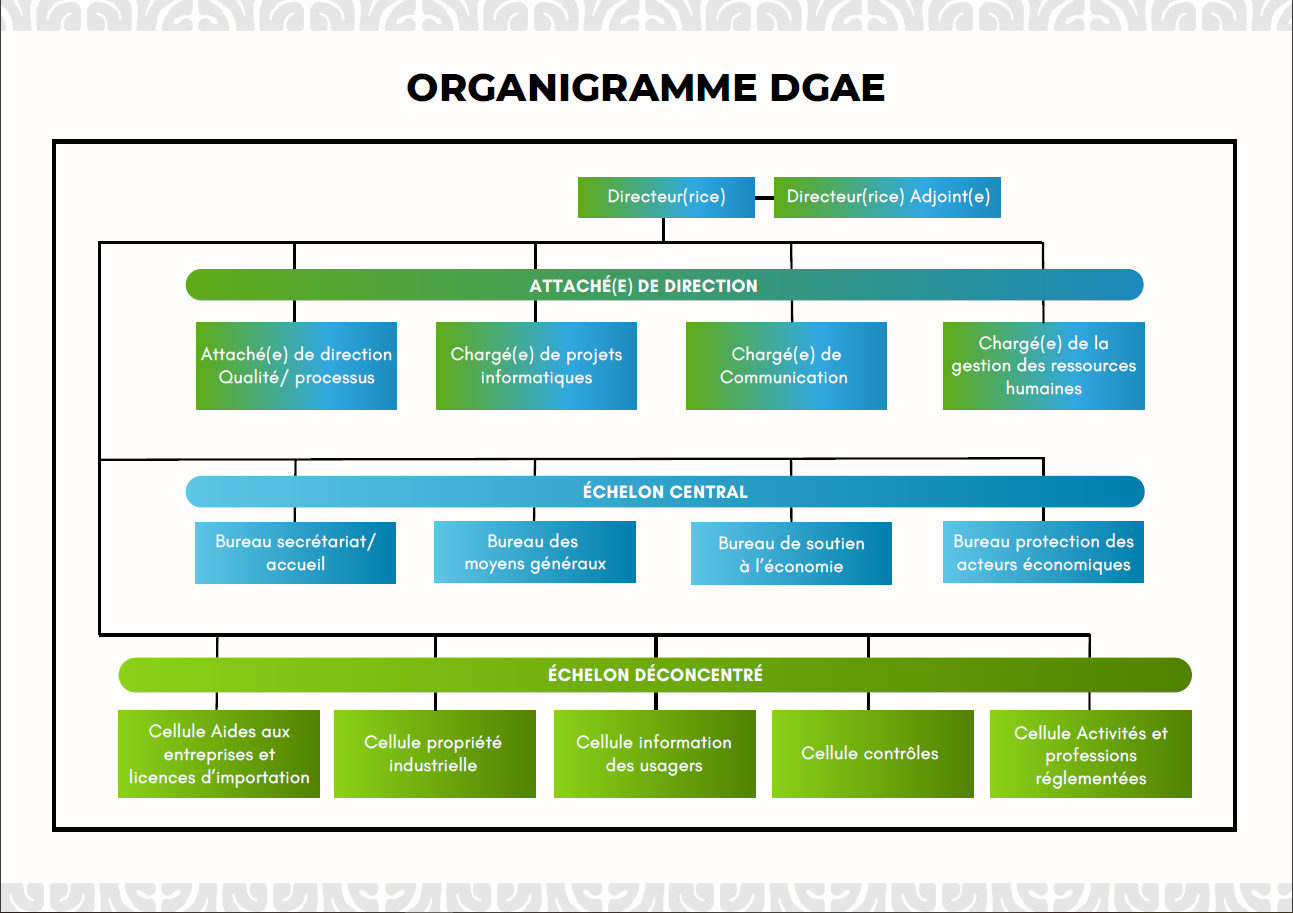 Organigramme - DGAE